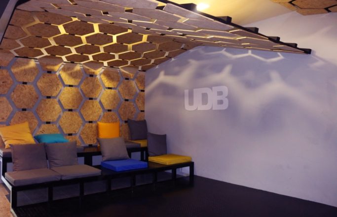 Auditorio UDB